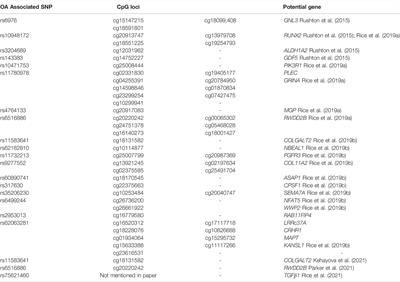 Epigenetic Regulation in Knee Osteoarthritis